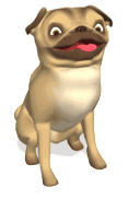 happy dog