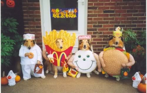 dog costumes