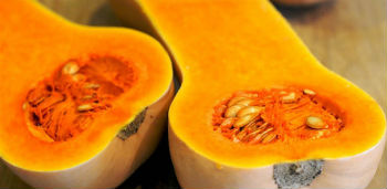 butternut squash