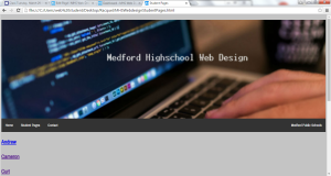 mhswebdesignscreenshot2