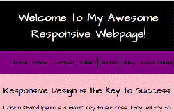 responsive screen shot