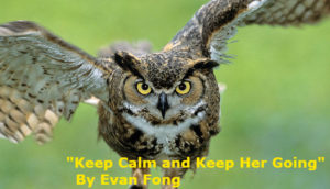 owl_horned