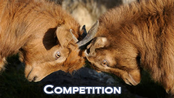 competition